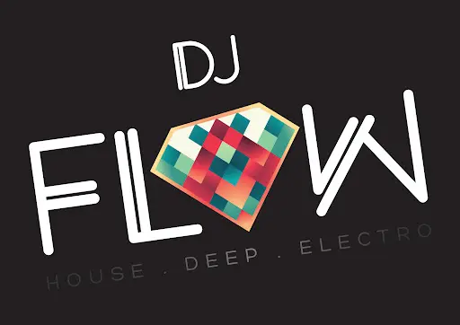 Dj Flow / The Checkpoint