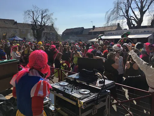 Disc-jockey Sono Avle