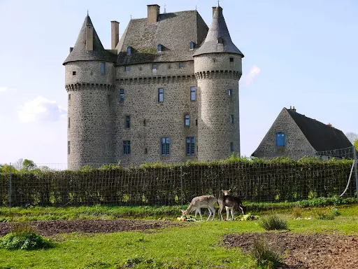 Château de Saint-maixant