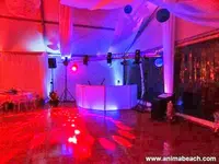 Dj . Animation de Mariage . Animabeach